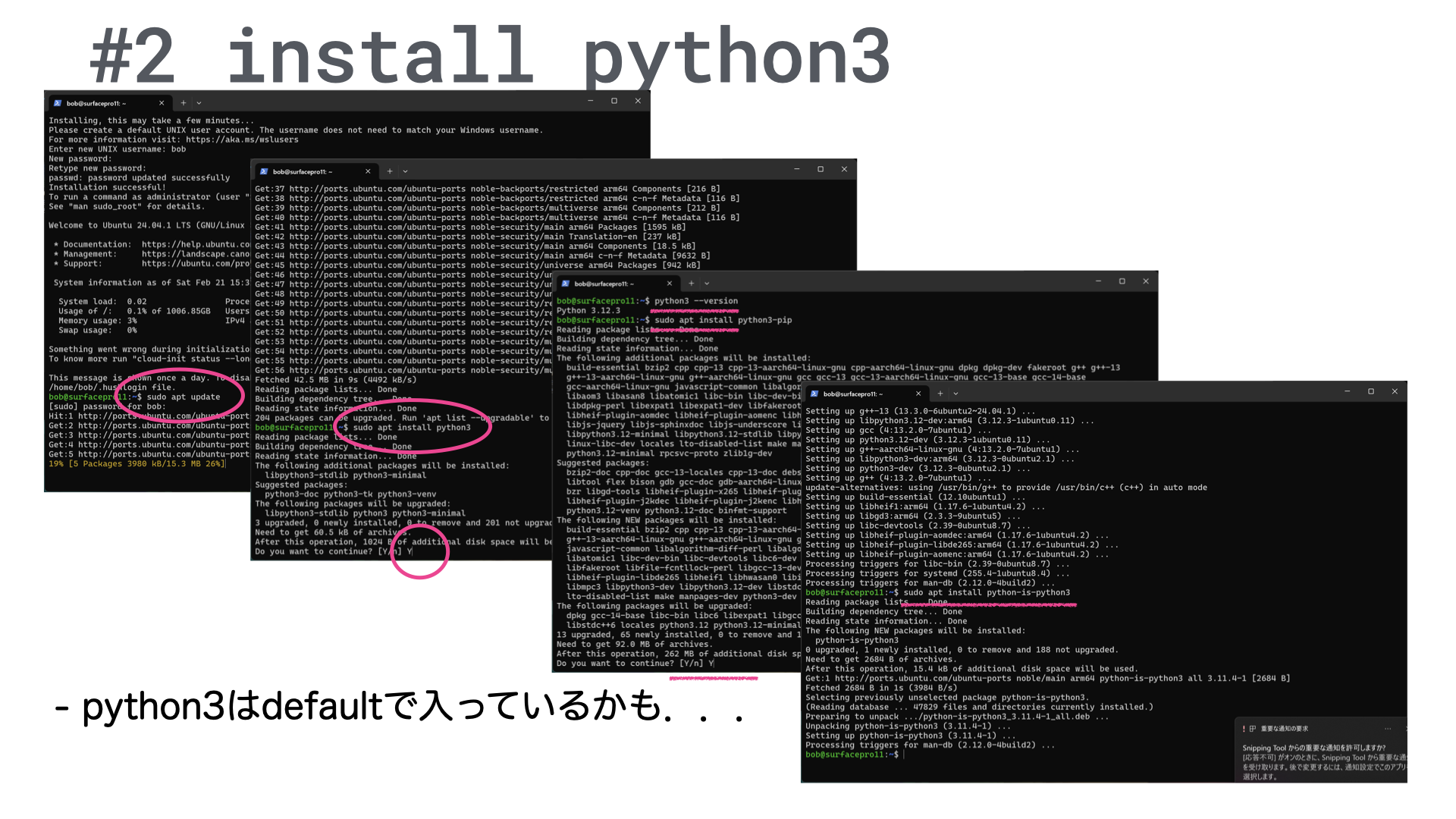 c2_wsl_python_install.003.png