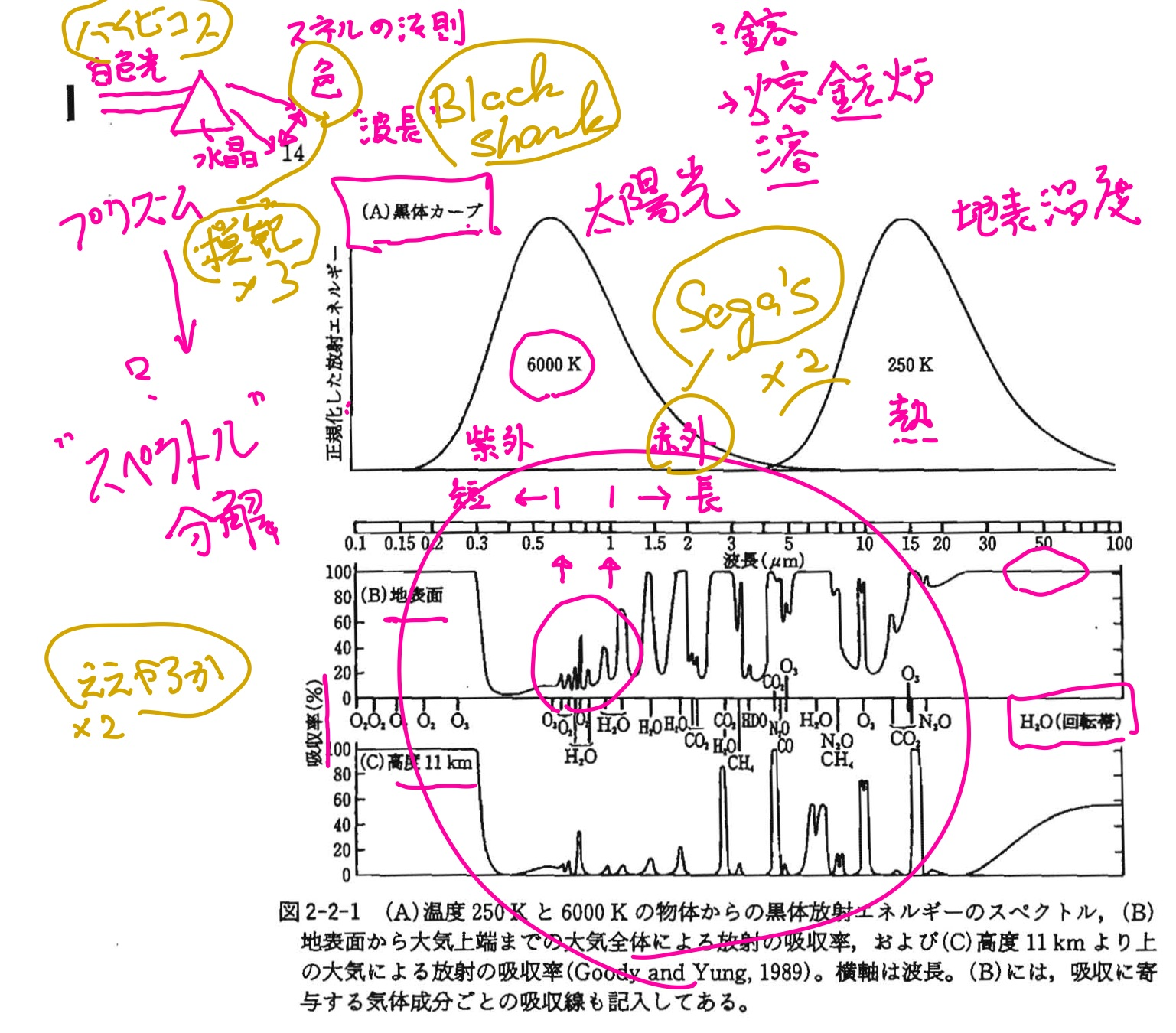 d7_1.png